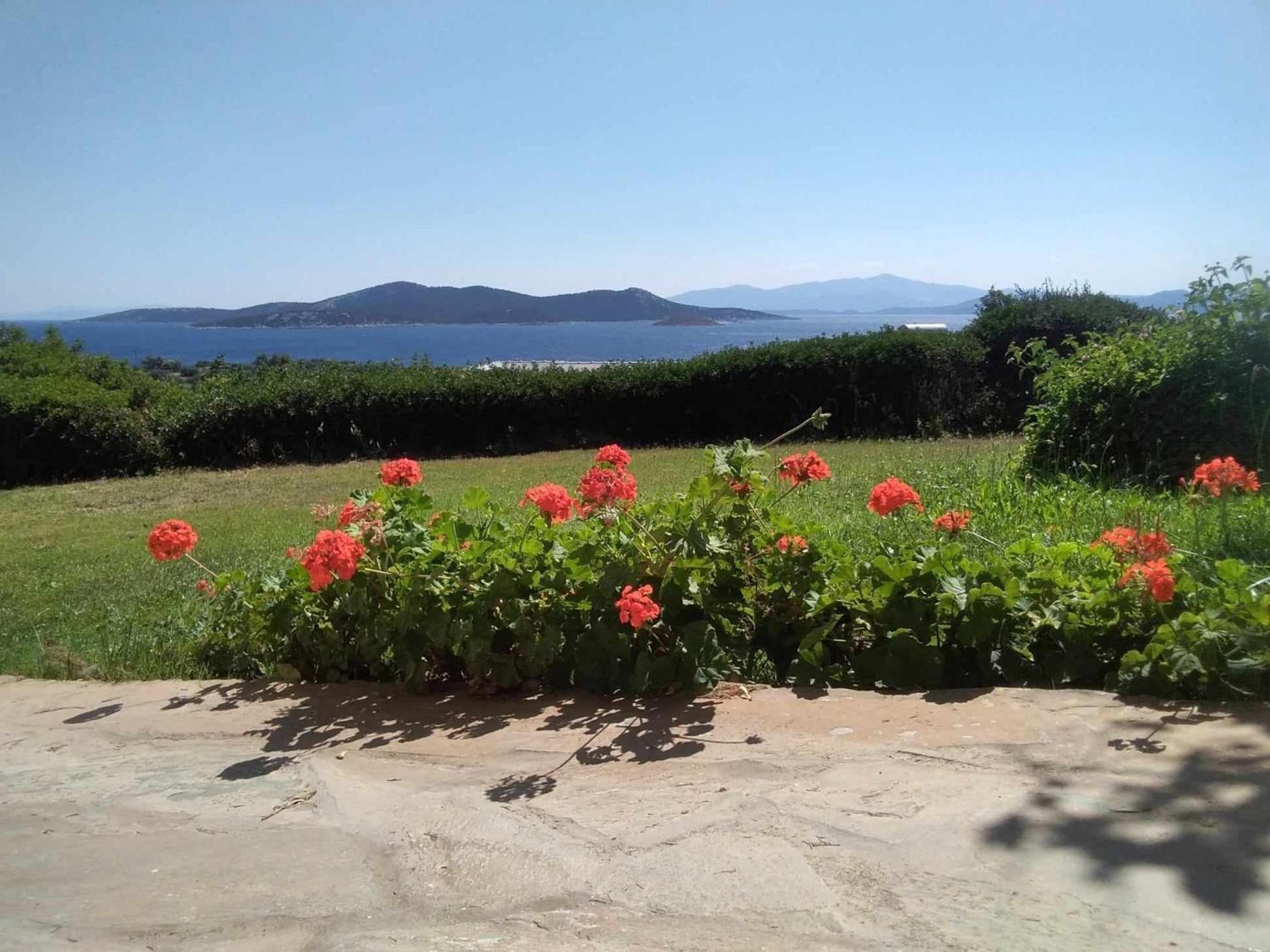 Evia Escape Villa *