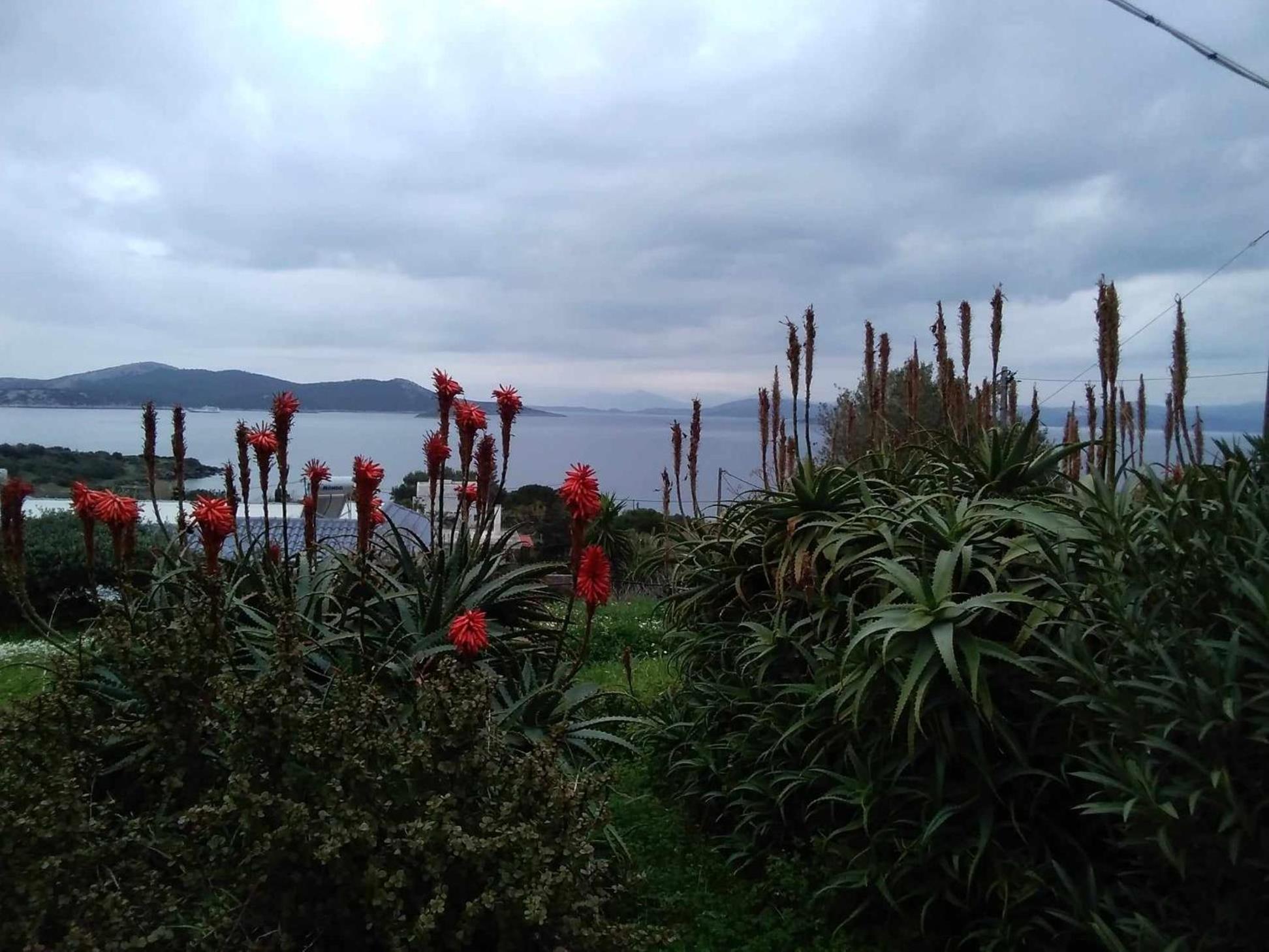 Evia Escape Villa Vathirrevma